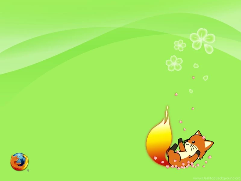 Wallpapers Sea: Fox Pictures