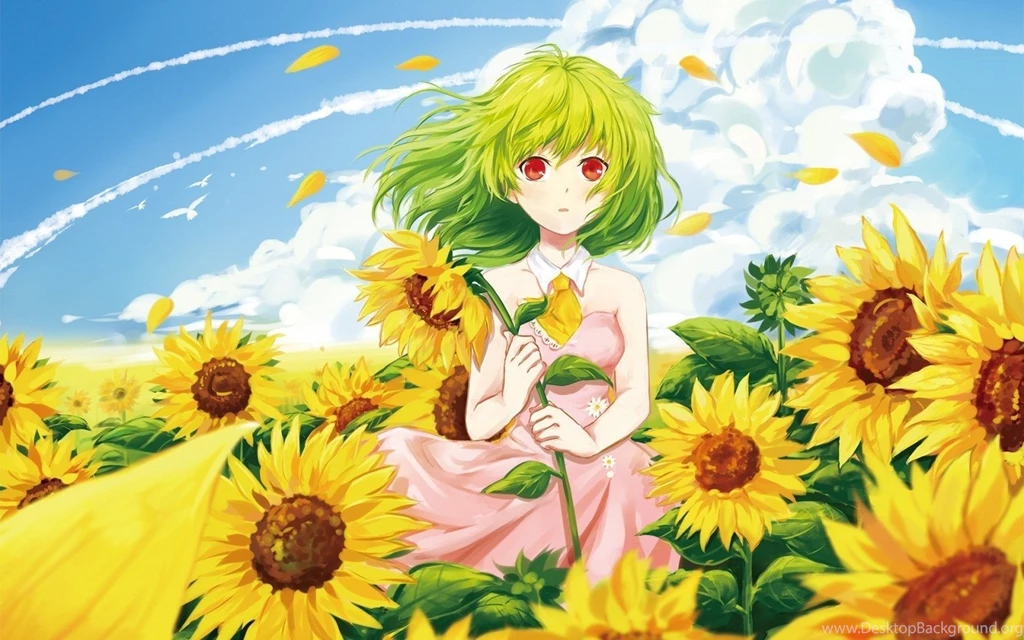 Anime, Girl, Sunflowers, Summer, Mood, Manga Anime Kute