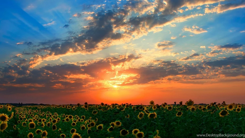 Red Sunset Desktop Backgrounds