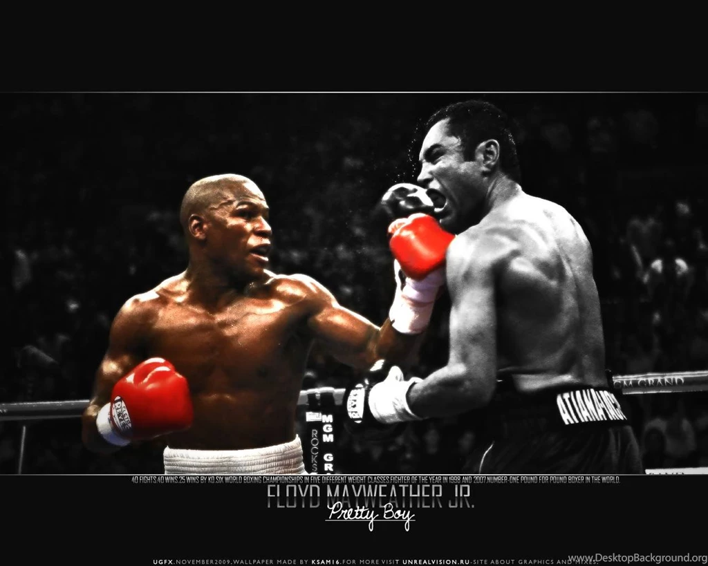 Floyd Mayweather Boxing Wallpapers