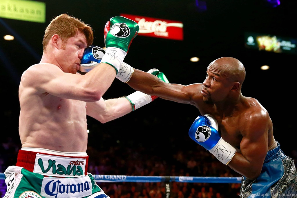 Mayweather Vs Alvarez Boxing Nose