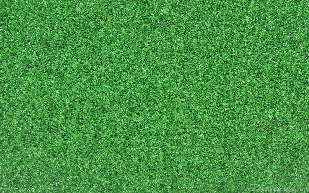Download Wallpapers 3840x2400 Cover, Background, Light, Grass ...