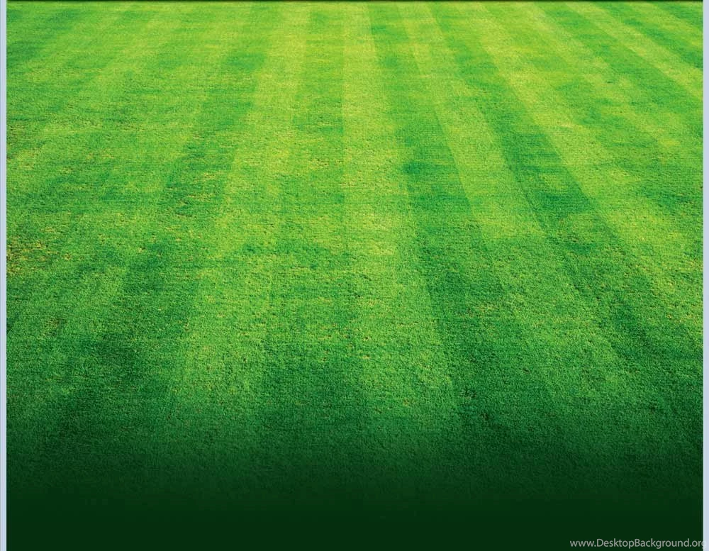 Grass Backgrounds Enviro Choice Lawn Care
