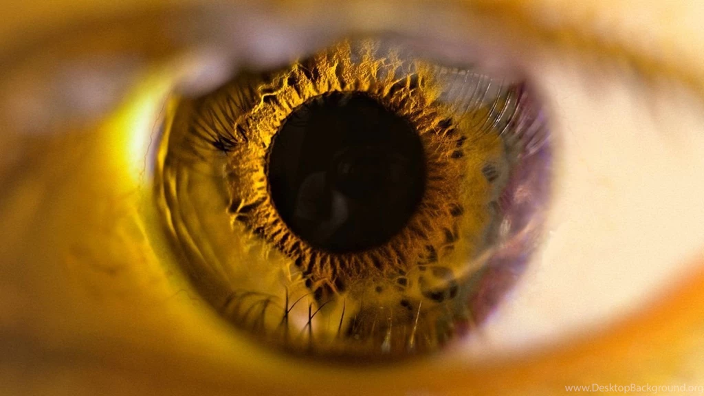 Top Close Up Eyes Wallpaper Images For Pinterest