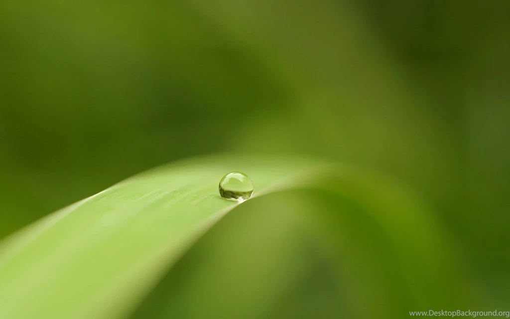 Close Up Wallpapers Diffraction Photos