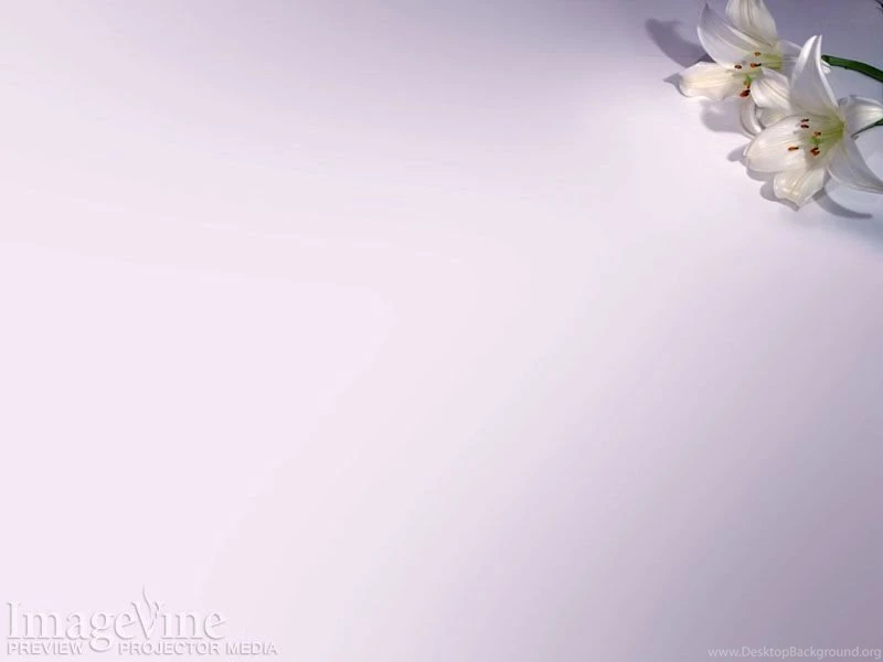 Easter Celebration, Backgrounds For Worship