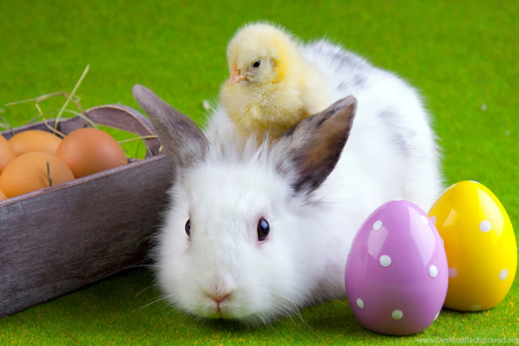 Pretty Easter Backgrounds Cute Easter Backgrounds PowerballForLife