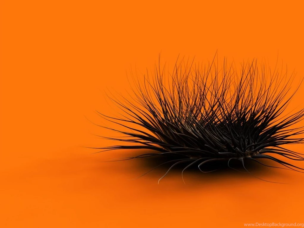 Abstract Art Photography Wallpapers