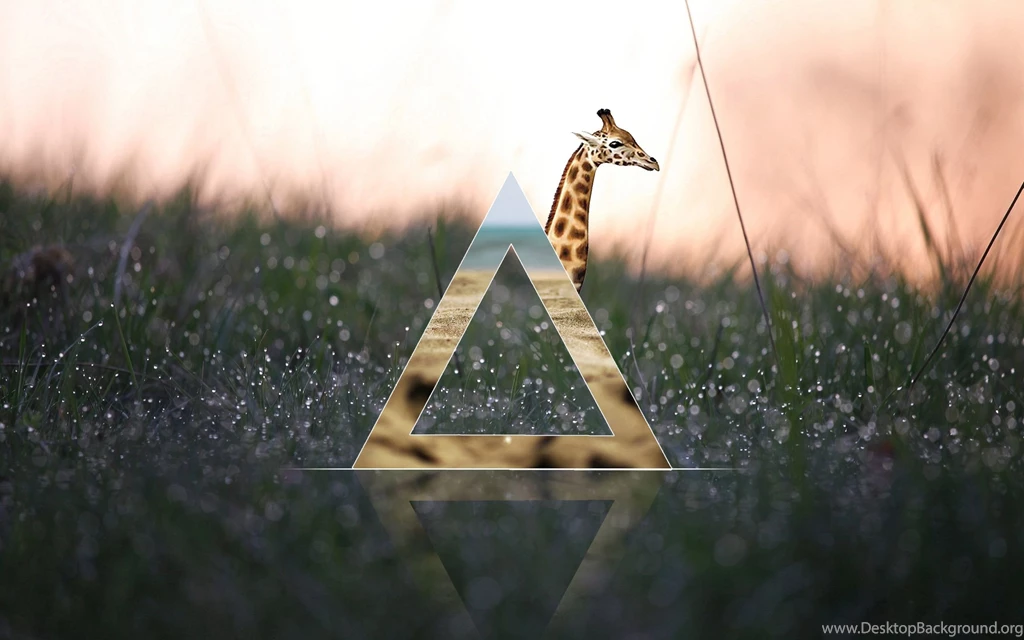 Hipster Abstract Minimalist Art Wallpapers