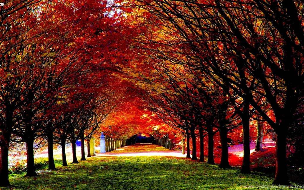 Desktop Backgrounds Fall