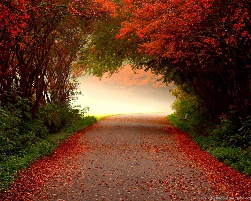 Free Fall Desktop Wallpaper Backgrounds