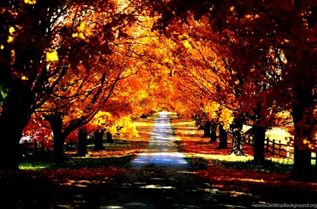 Autumn Wallpapers High Resolution