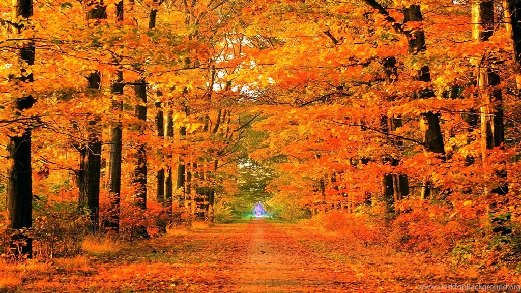 Autumn roads desktop backgrounds for mac.jpg
