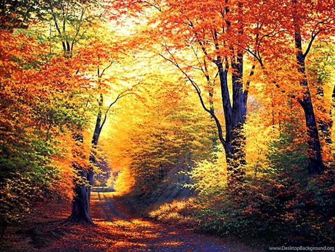Latest Desktop Wallpapers, Beautiful Desktop Wallpapers, 3D ...
