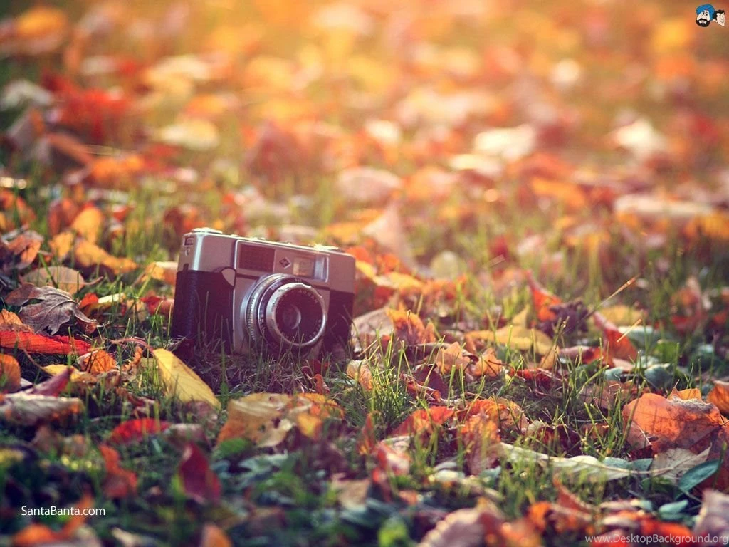 Autumn Backgrounds Wallpaper Desktop.jpg