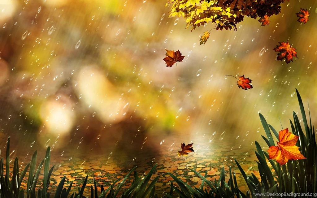 Fall Computer Wallpapers, Desktop Backgrounds