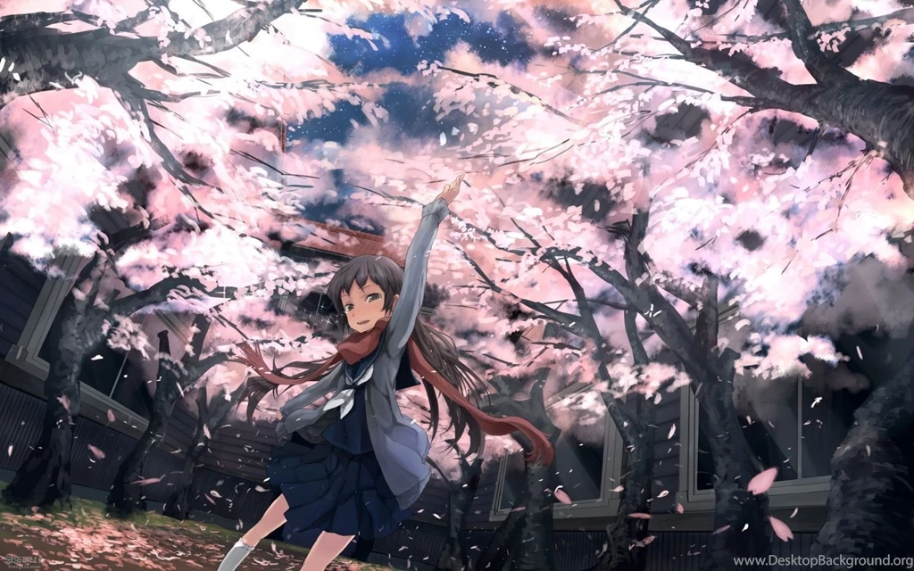 1680x1050 Anime Girl Spring Blossoms Wallpapers