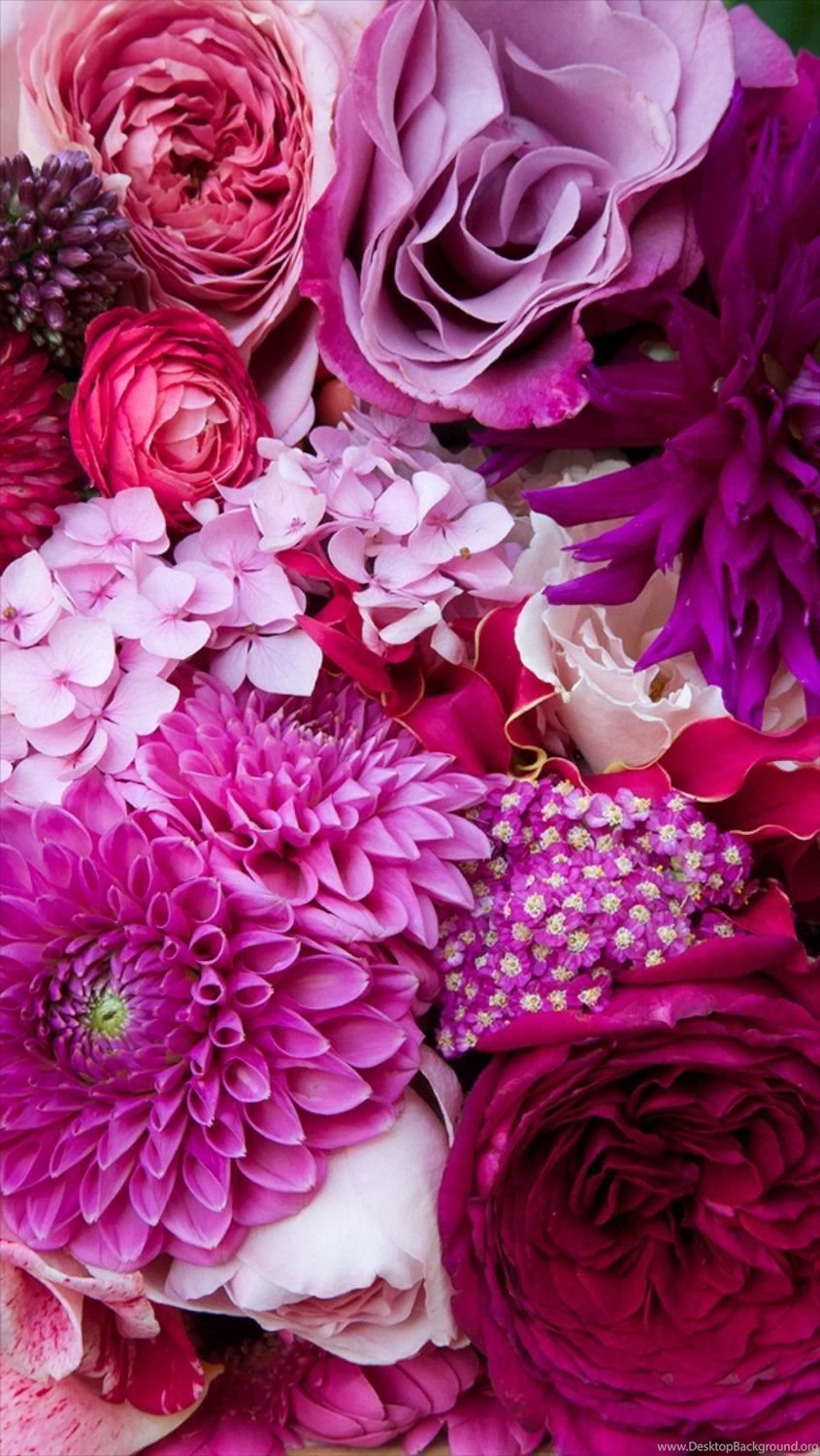 Free Floral Phone Wallpapers • Summer Collection • Capture By Lucy