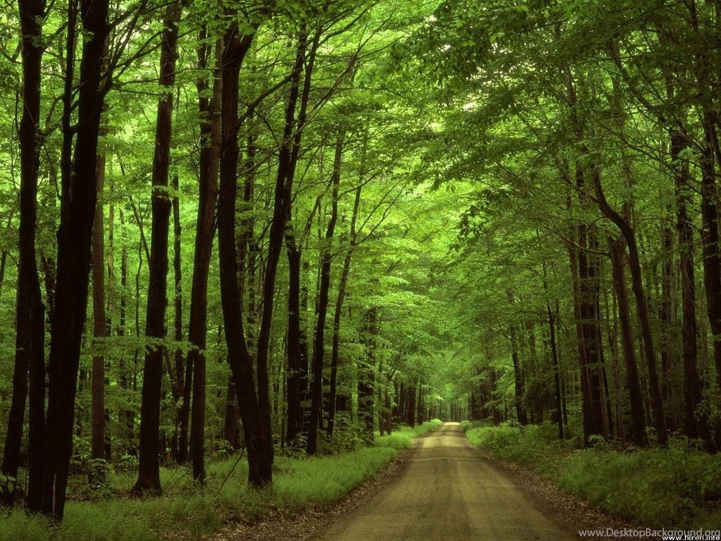 Environmental Responsibility Century Products LLC