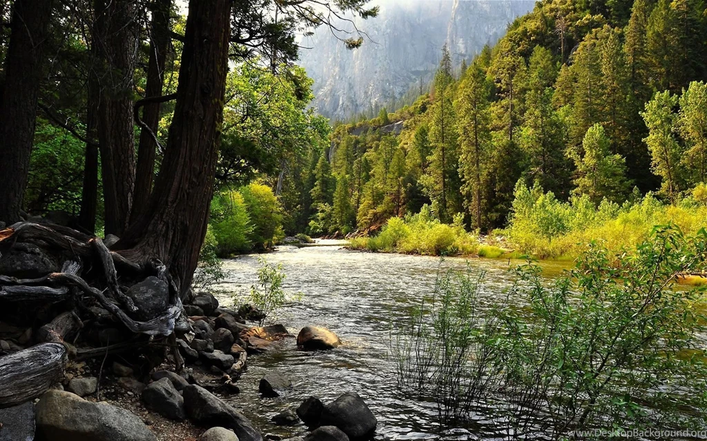 River Wallpapers 649243