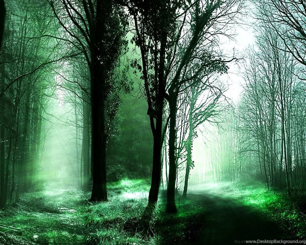 Forest Pathes Desktop Wallpapers Wallpapers (23106015) Fanpop