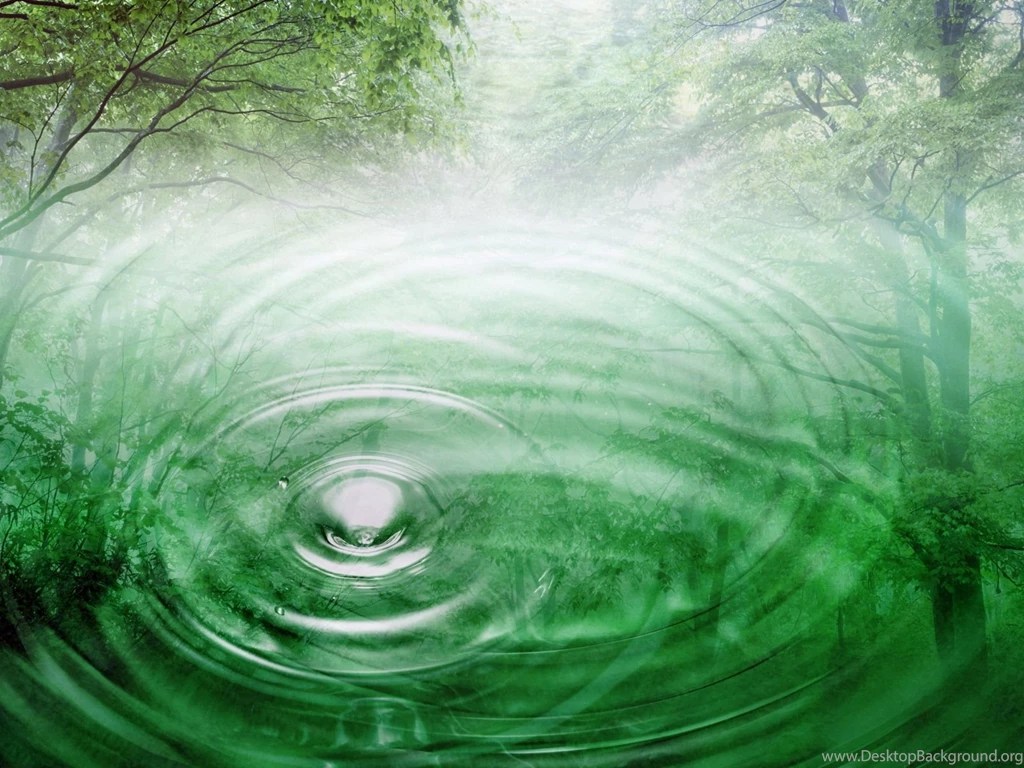 Forest Desktop Backgrounds