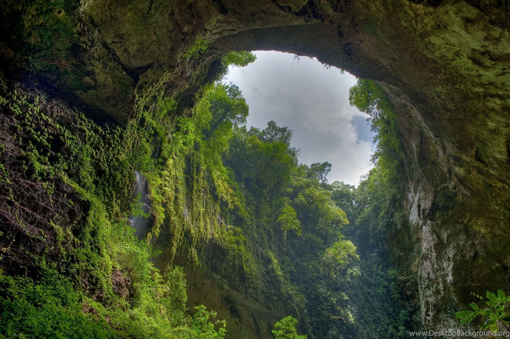 El Yunque Forest, Puerto Rico Desktop Wallpapers FREE On Latoro.com