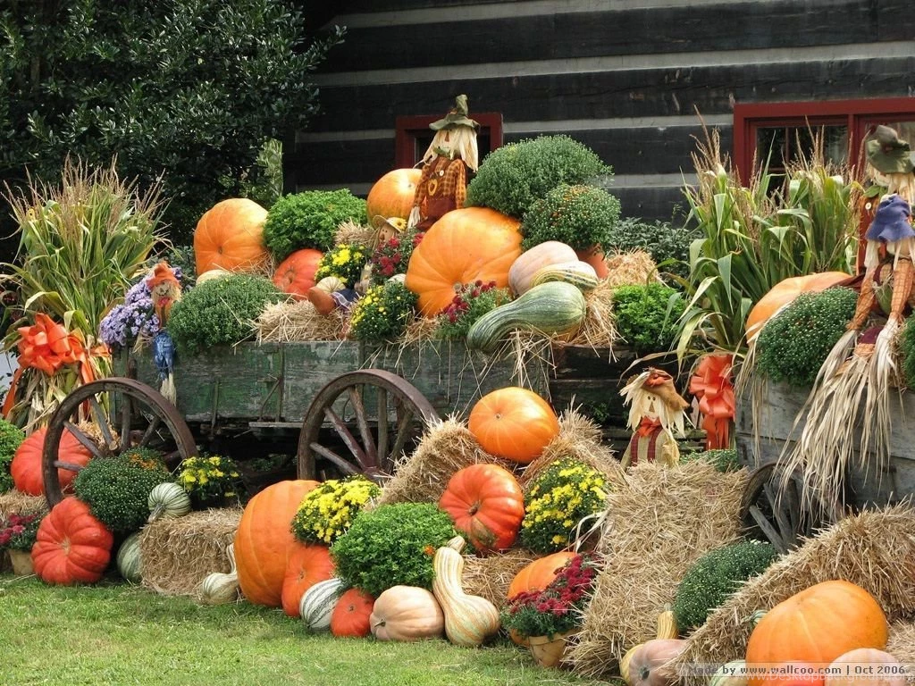 Autumn Display : Scarecrow & Pumpkins Wallpapers .pumpkins ...