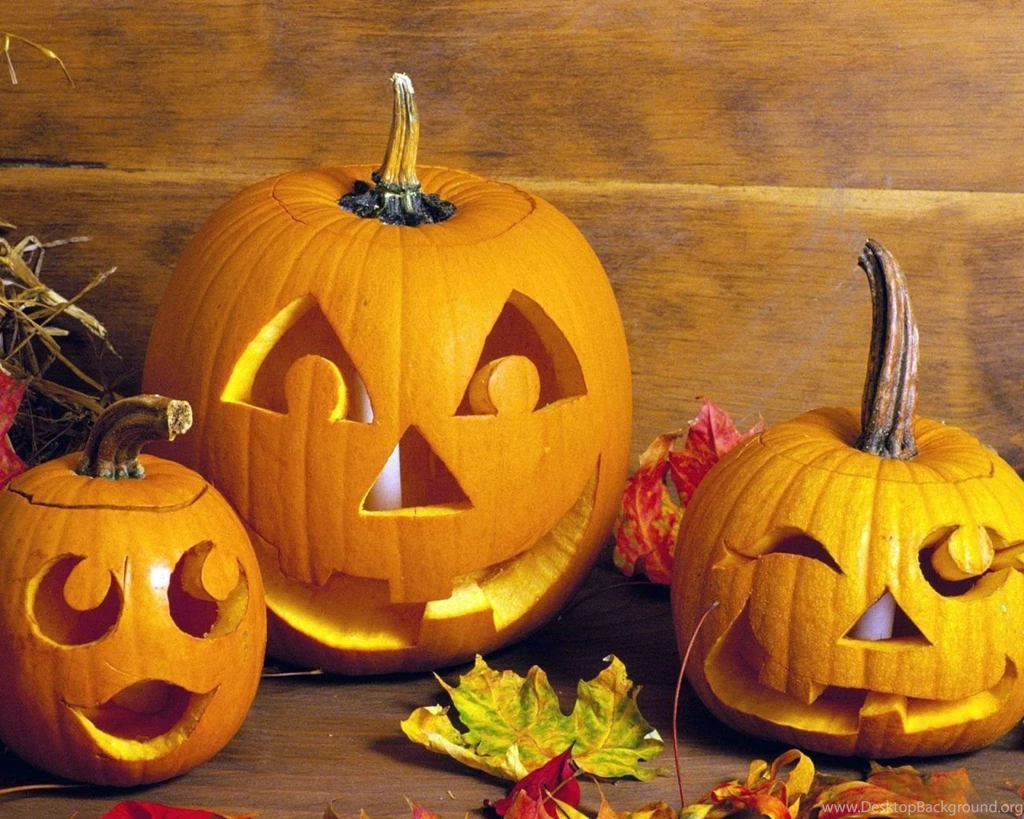 Top Pumpkin Patch Digital Wallpaperthanksgiving Background Images ...