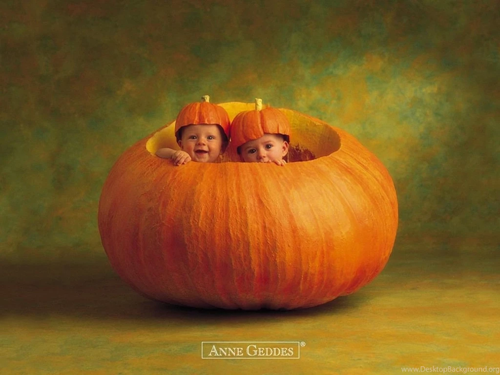 Anne Geddes Pumpkin Wallpapers Free Anne Geddes Pumpkin ...