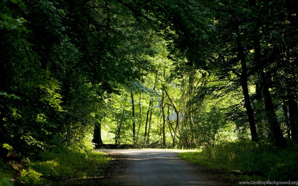 Nature Background Wallpapers 4.jpg