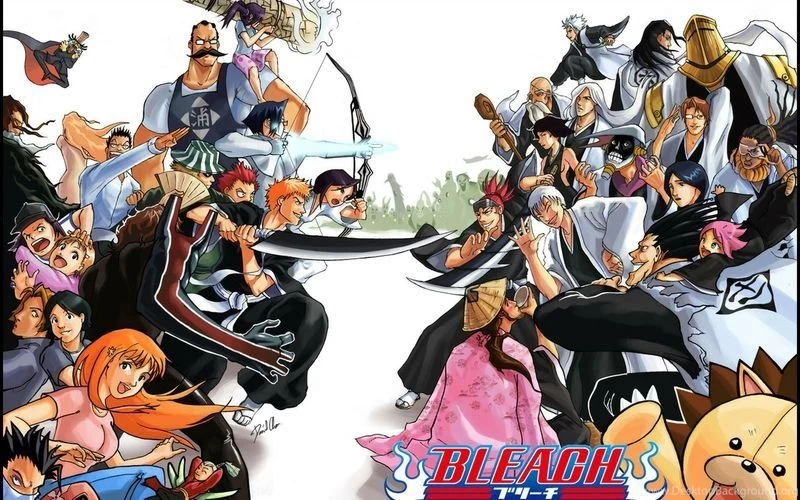 Download Anime Bleach Characters Wallpapers 800x500