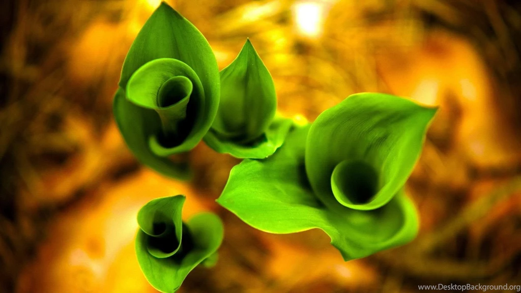 HD Backgrounds Wallpapers HD Images New