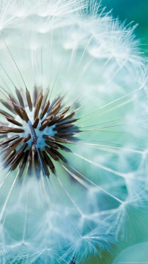 40 Best And Latest Samsung Galaxy S5 HD Wallpapers