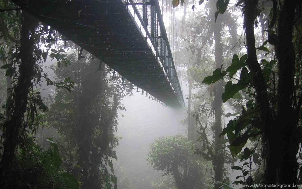Monteverde Costa Rica Wallpapers 190151