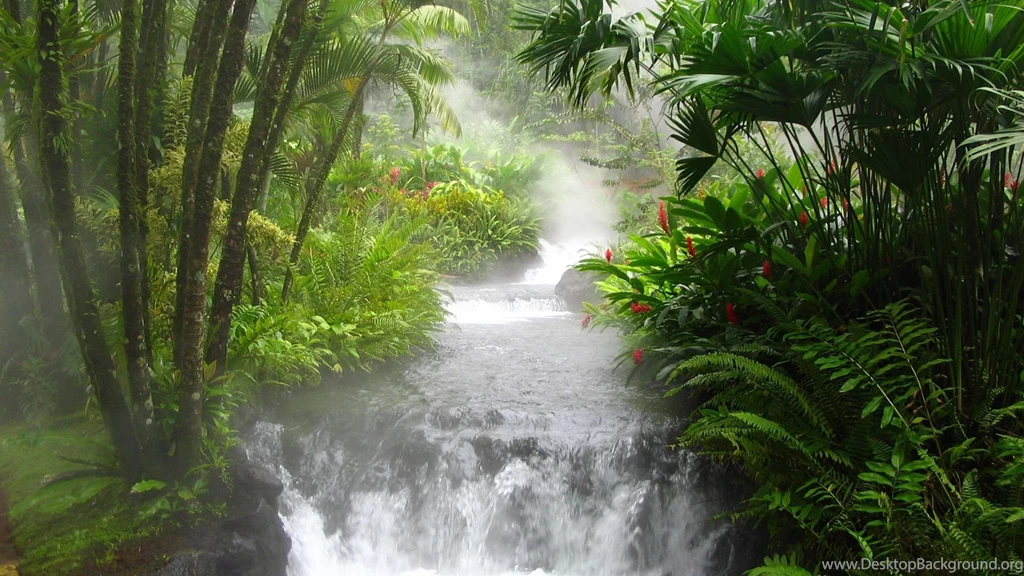 Hot Water River In Costa Rica Wallpapers And Images   Wallpapers ...