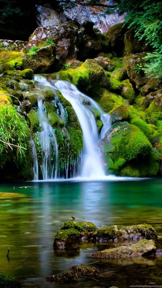 Iphone_5_wallpaper_nature.jpg