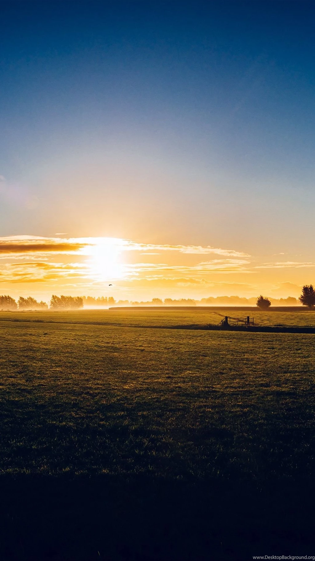 Nature & Landscape iPhone 6 Wallpapers