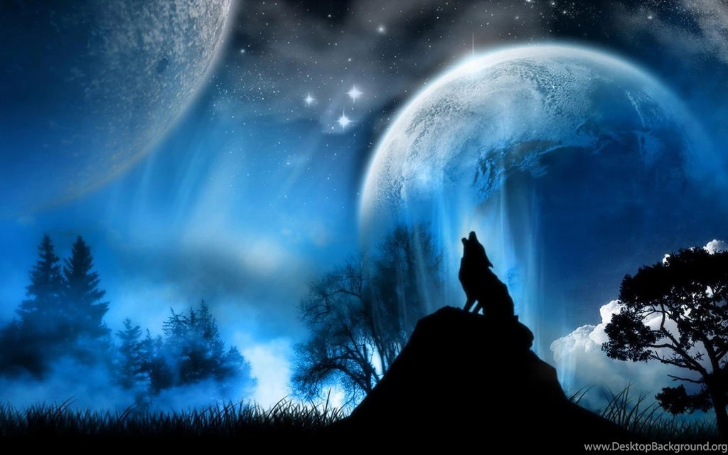 1680x1050 Free High Quality Backgrounds Pictures