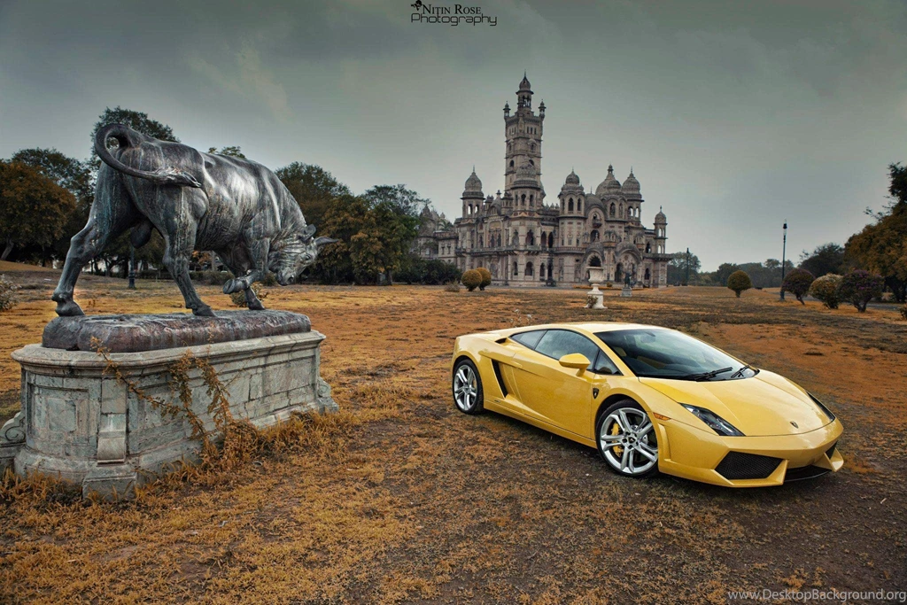 Lamborghini Bull Wallpapers Image