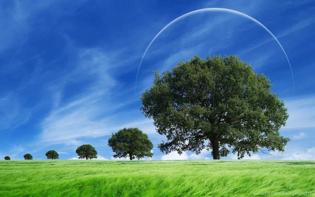 Desktop hd nature wallpapers.jpg