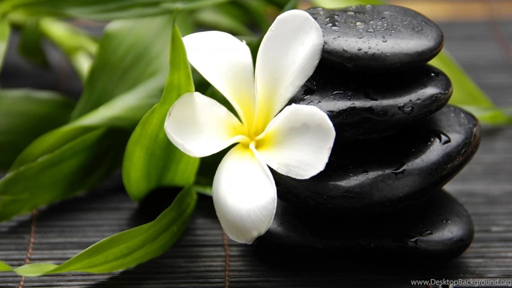 Flowers Leaves Stones Plumeria Wallpapers