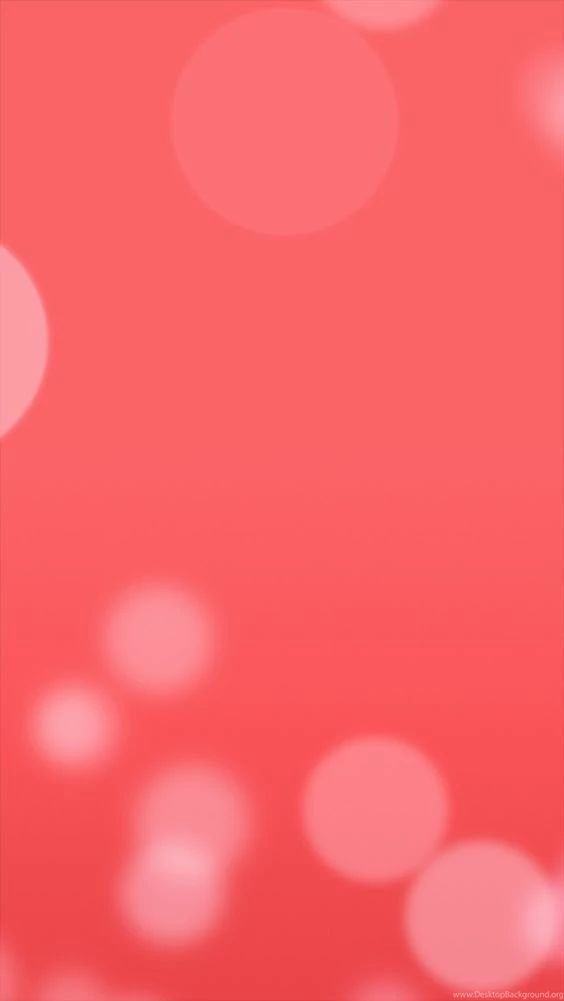The iPhone