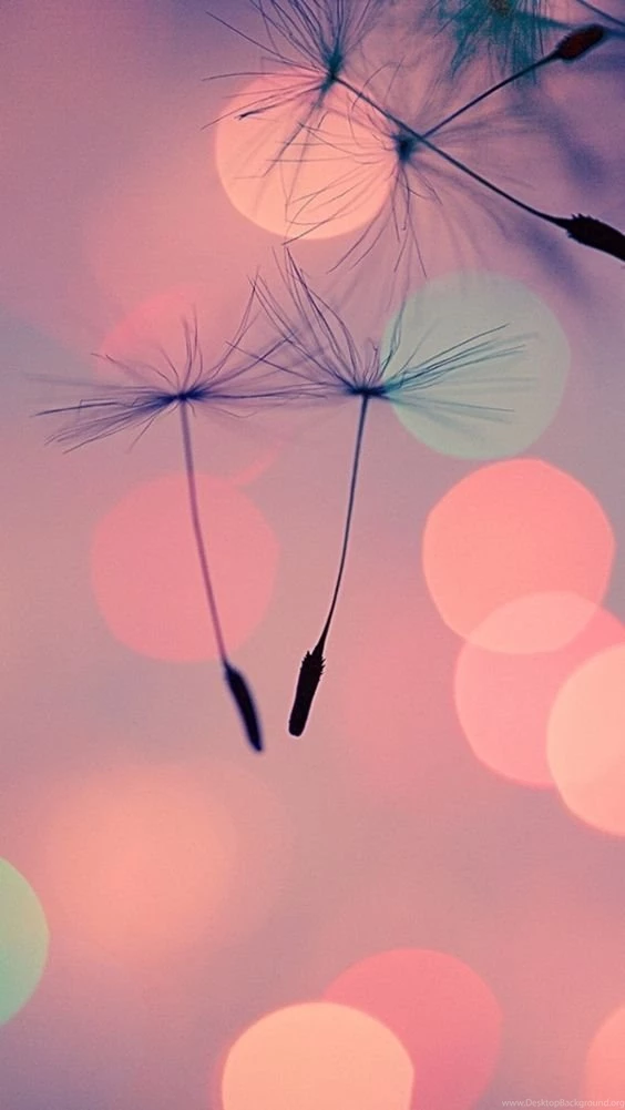 iPhone 5c Wallpapers