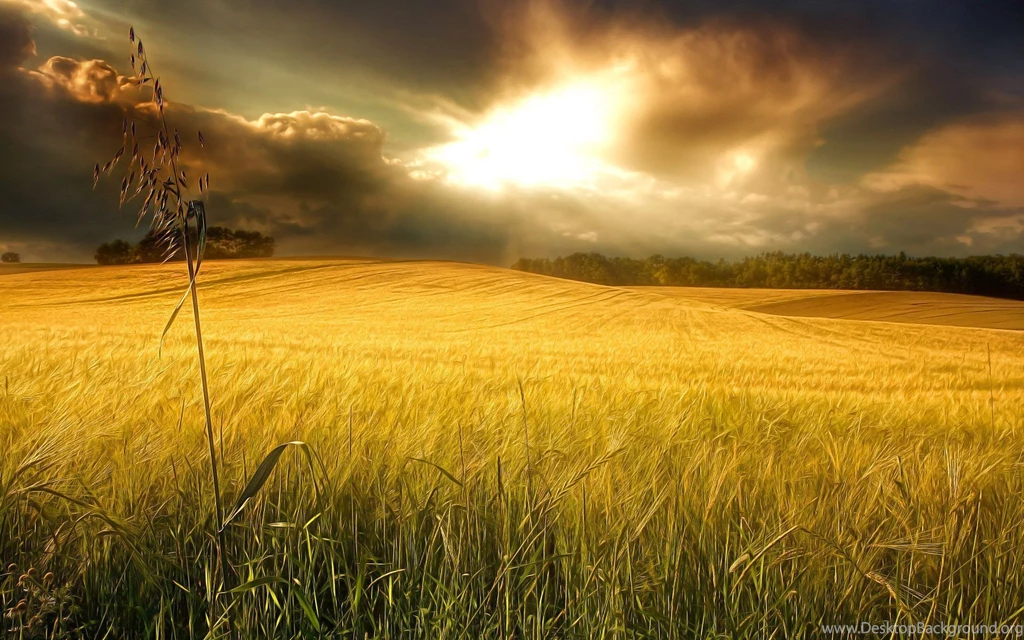 Free Hq Wallpapers HD Wallpapers Desktop Wallpapers ...