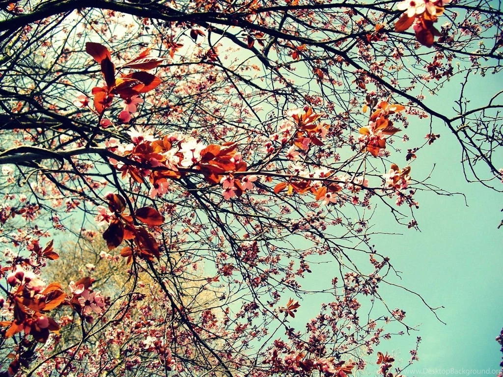 Girly Vintage Desktop Backgrounds