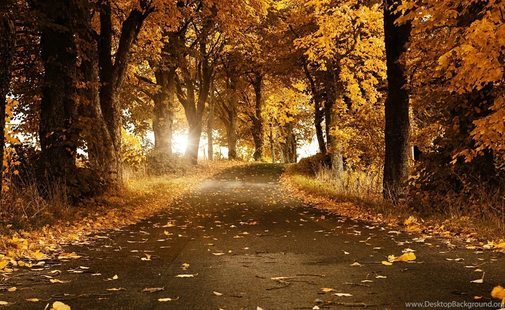 Autumn HD Wallpapers Ipad Your HD Wallpapers