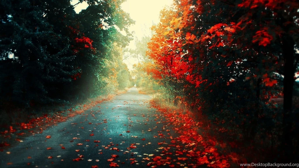 Great Nature Wallpaper: Wallpapers Desktop Rain