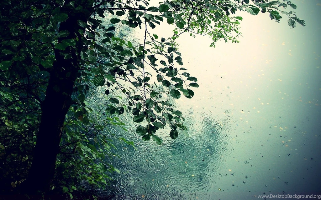 Beautiful Rain Wallpapers For Your Desktop