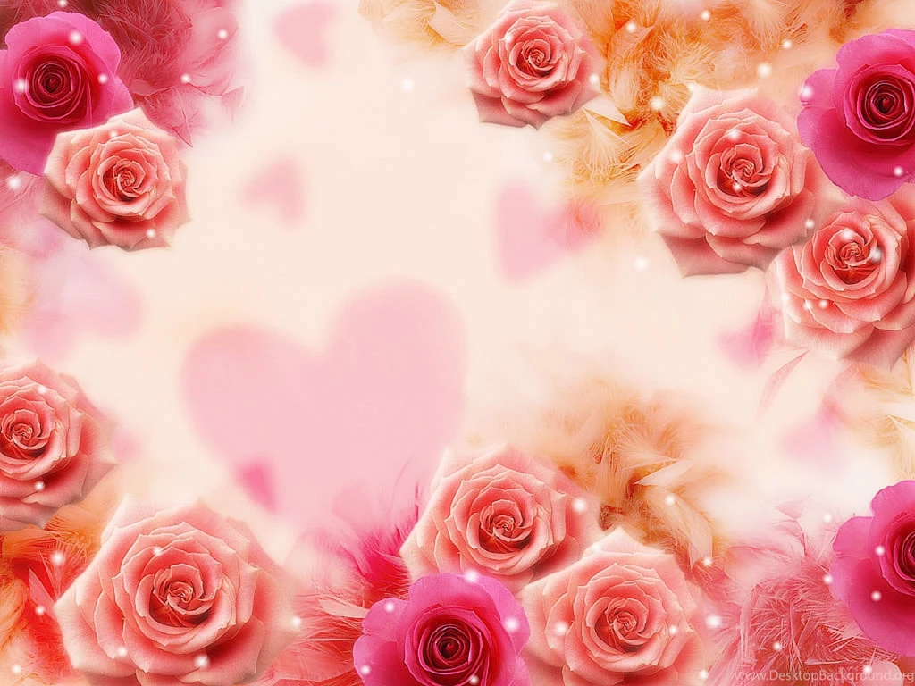 Yellow Rose Wallpapers Wallpapers High Definition High Quality ...